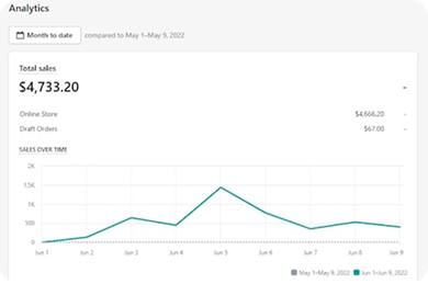 shopify revenue screenshot showing weekly earning